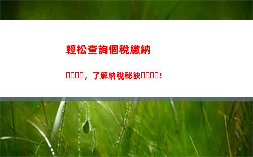 一鍵查詢個稅，輕松掌握收支情況！